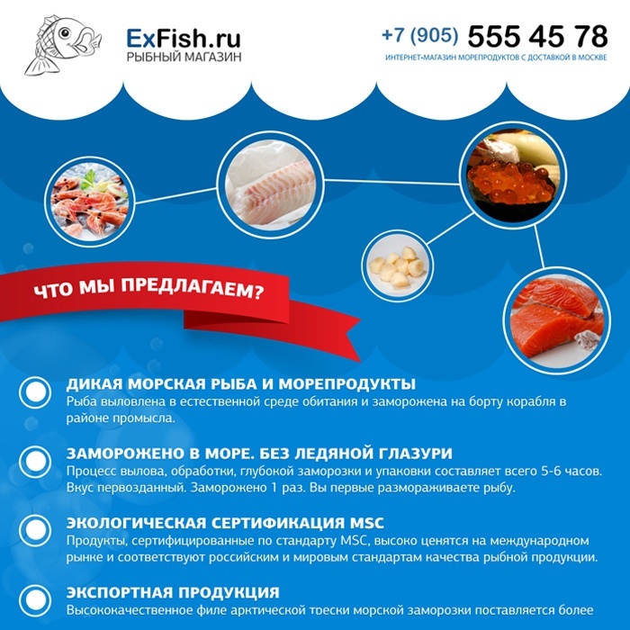 «Exfish» flyer