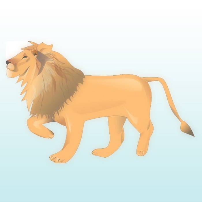 Lion illustration