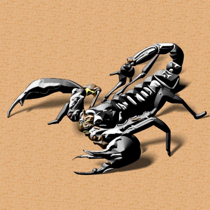Scorpion